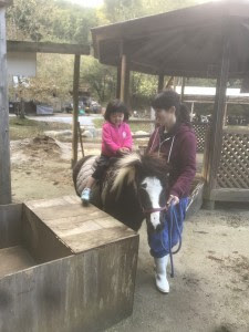 ポニー乗馬 ピクニカ共和国