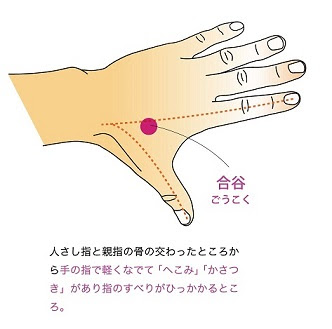 プロが使う5つのよく効くツボ せんねん灸お灸ルームblog