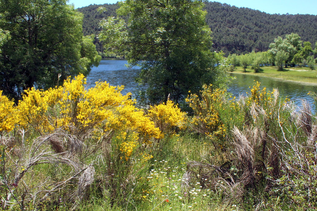 Embalse de la Jarosa en Guadarrama