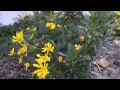 Видео Nikon D3200 Test Vid