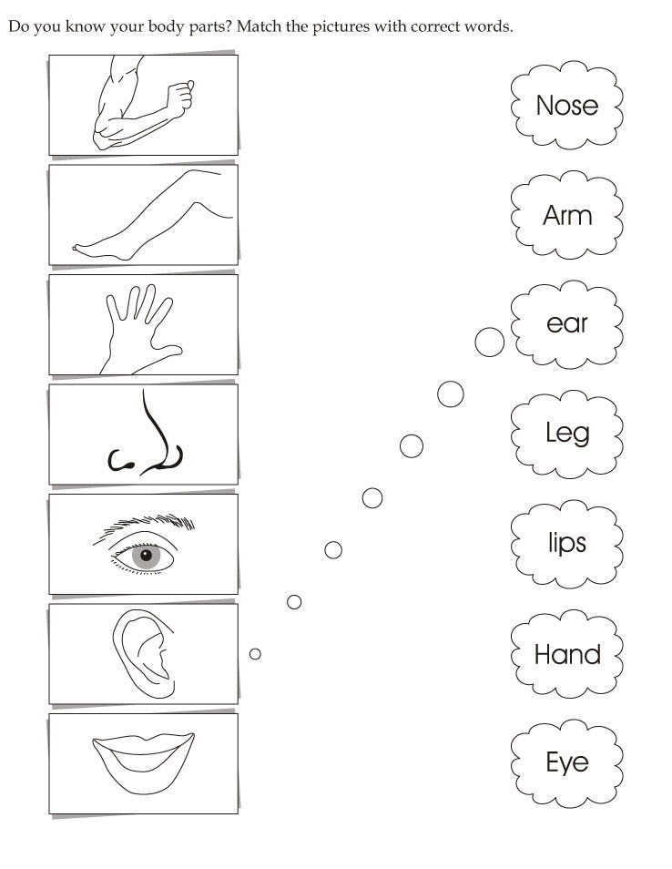 download english activity worksheet match the pictures with correct
