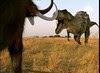 Martha the Mammoth vs Matilda the Tyrannosaurus