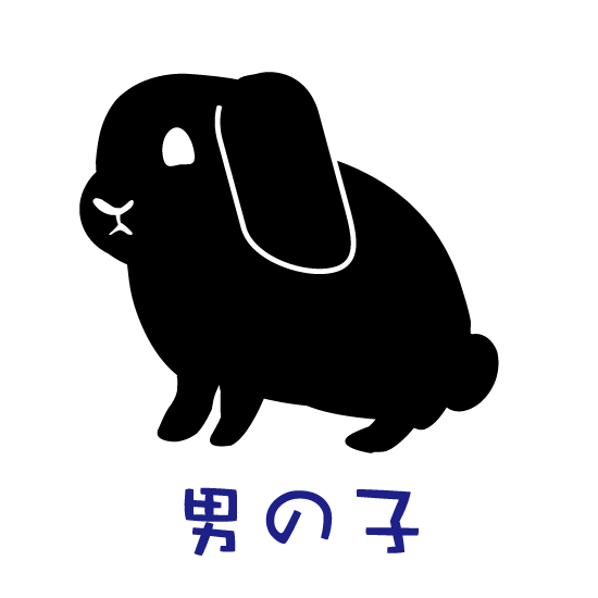うさぎtシャツ バックプリント 親ばかですが何か I Loveうちの子ネーム入り たれ耳 男の子 おりじなるぷりんとしょっぷ White Rabbit ホワイト ラビット