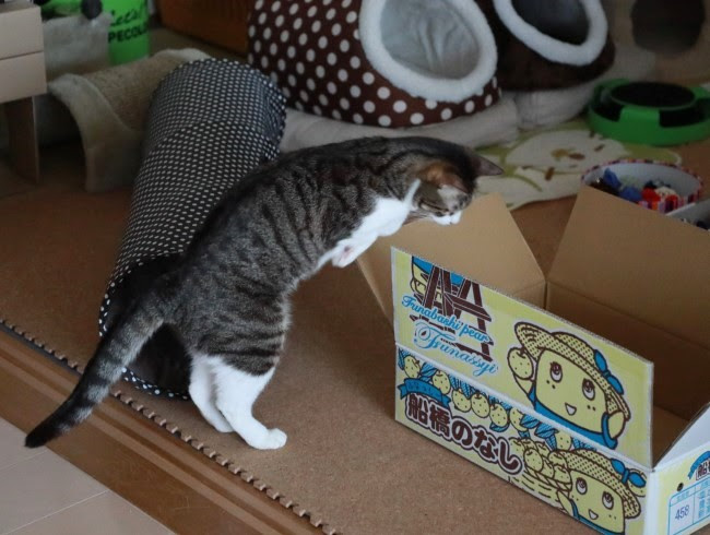 せーの。 せーの。