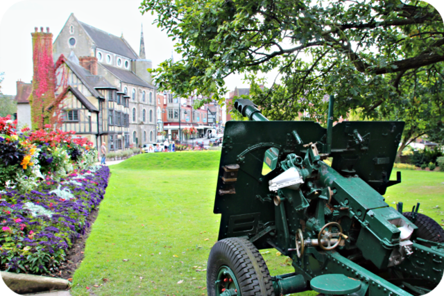 Shrewsbury Cannons