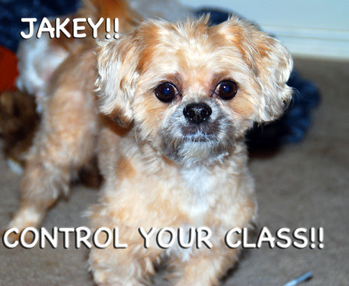 Bilbo-Control-class
