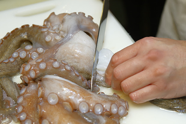 大阪産 泉だこ の美味しい食べ方 教えます