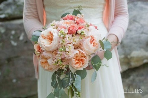 Juliet Rose Most Expensive Flowers