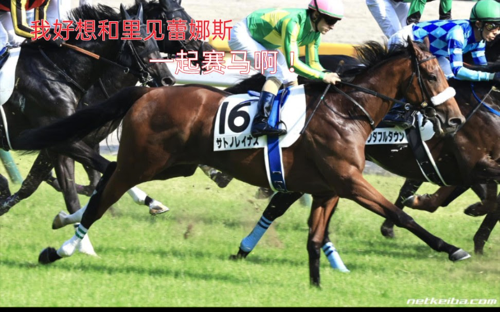 俺の愛馬 サトノレイナス自制壁纸 真的可以当做壁纸 哔哩哔哩 つロ干杯 Bilibili