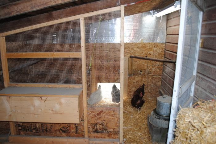 chicken coop inside a barn | Raising Chickens | Pinterest