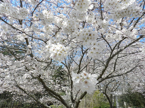 todayflowDSCN5446