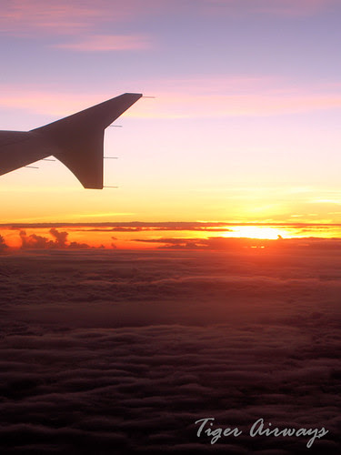 Tiger Airways