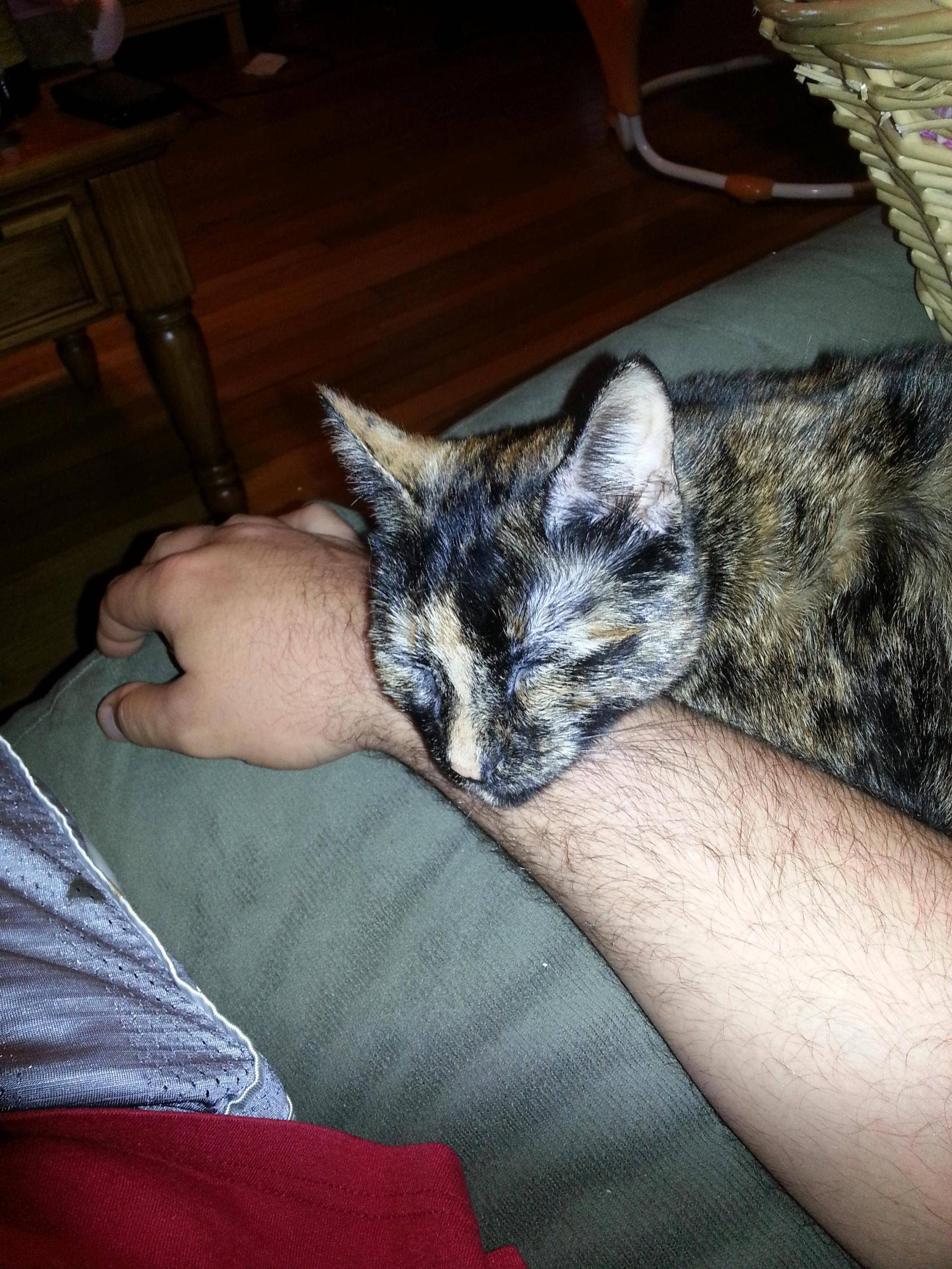 She's got a tough life : pikdit