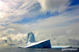 Фото: Greenpeace (http://www.greenpeace.org)