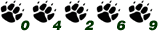 Free Web Site Hit Counter