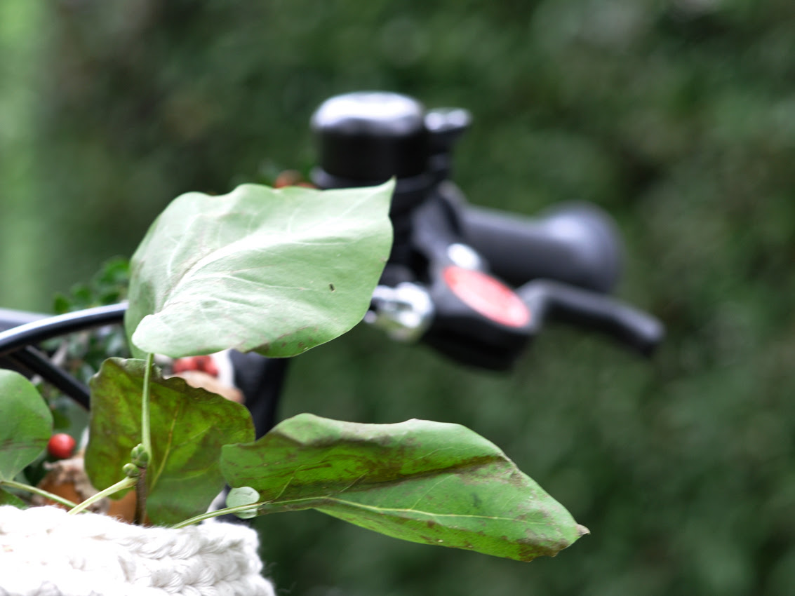 Diy Fahrradkorb Fur Kinder Rock My Day