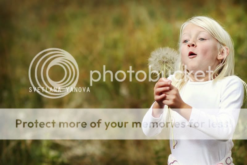 Calgary Wedding Photographer,Calgary Wedding Photography,Calgary Family Photographer,Waterton National Park,Calgary Corn Maze,Langdon AB,Riley Park Calgary,Svetlana Yanova