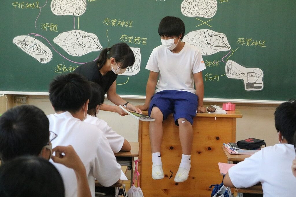 理科 反射 膝蓋腱反射を体験しました 師崎中学校