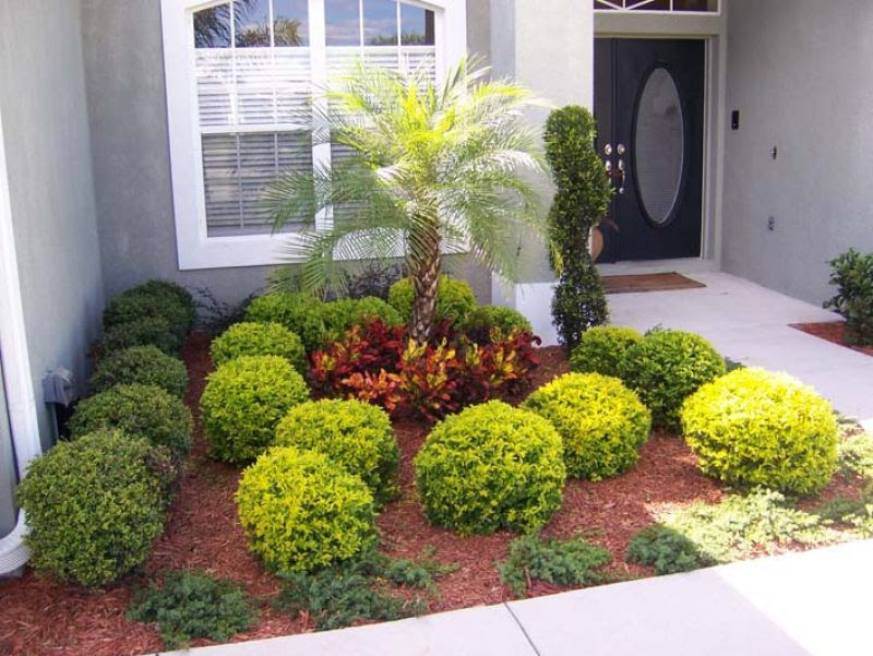 Florida Front Yard Landscaping Ideas | 800 x 601 · 100 kB · jpeg title=