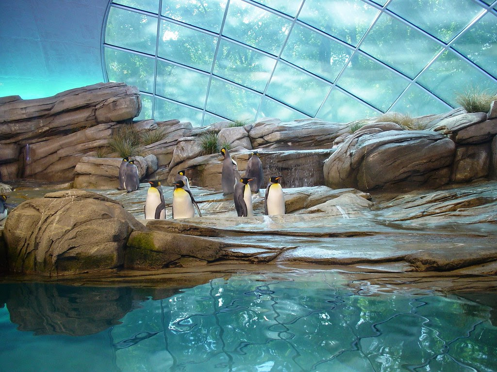 what is the biggest zoo in the usa