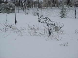 Baseball guy in snow