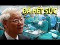     Tin mới cập nhật trưa 154  Bác sĩ thông báo Nguyễn Phú Trọng rơi vào tình trạng ĐỜI SỐNG THỰC VẬT  