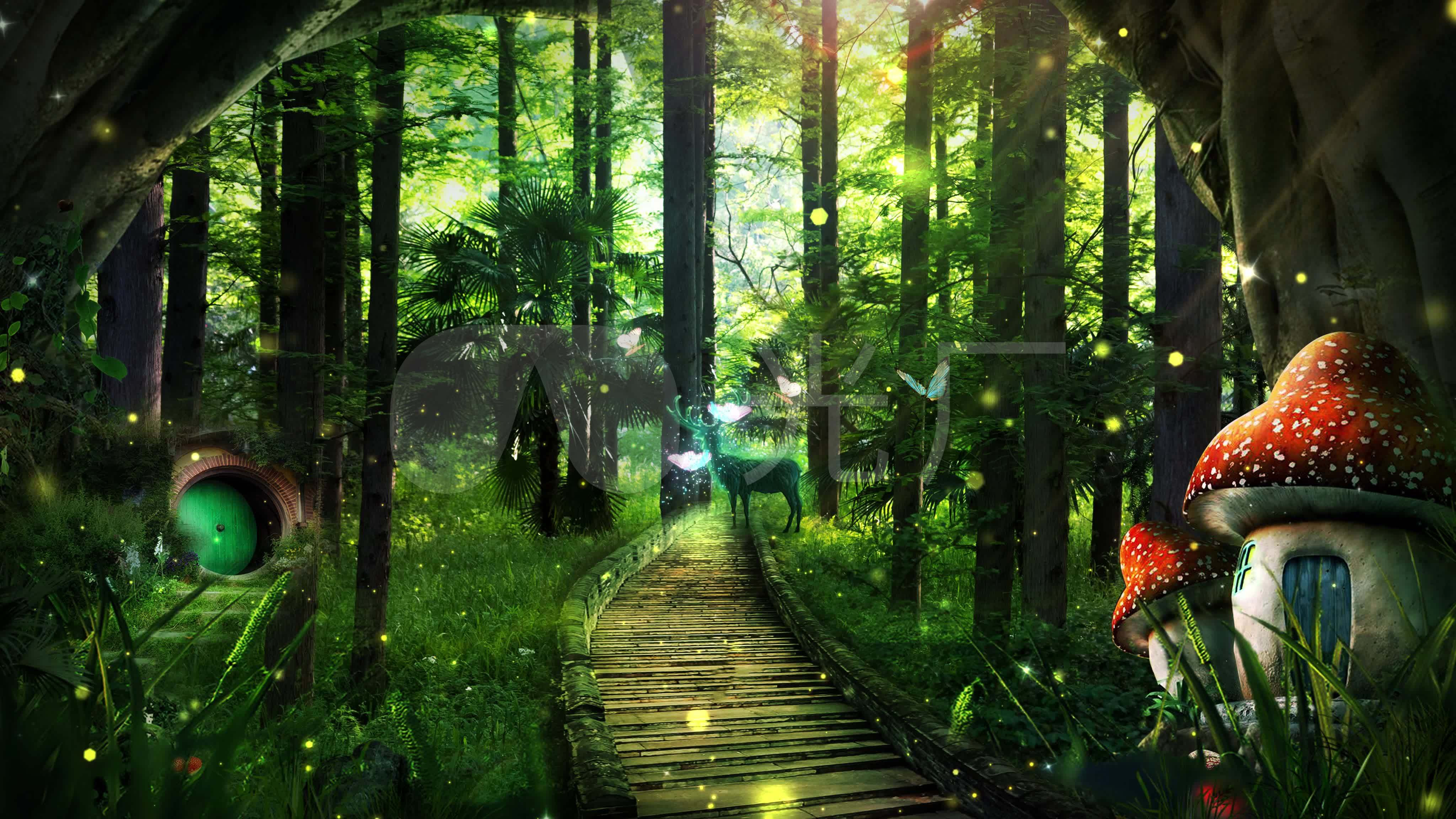 梦幻森林壁纸 万图壁纸网