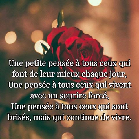 Les Belles Citations Et Proverbes