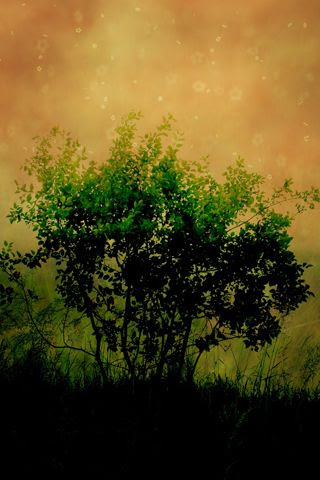 wallpaper for iphone hd