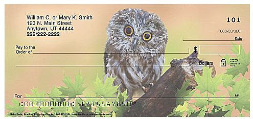 Owl by Megan Lorenz