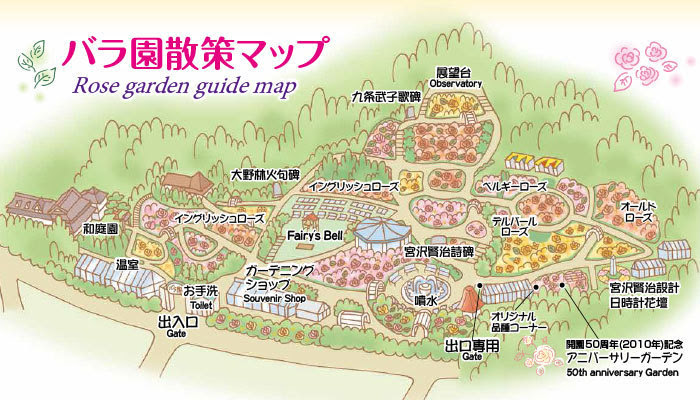 花巻温泉バラ園 開花状況 15 6 花巻温泉スタッフblog ぽちっと花温 楽天版 楽天ブログ