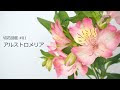 [最も選択された] アルストロメリア 切り花 730530-アルストロメリア 切り花