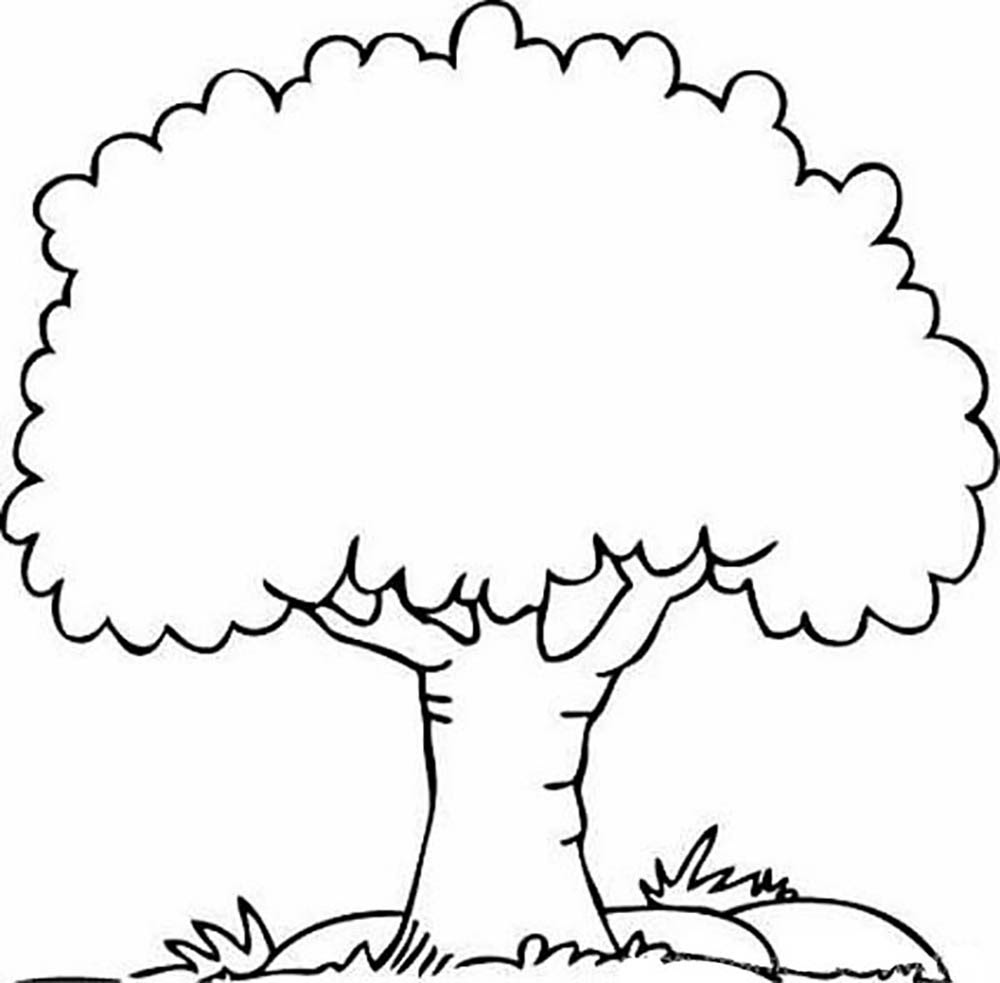Download Apple Tree Drawing at GetDrawings | Free download
