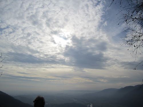 IMG_7446_altocumulus_stratiformis