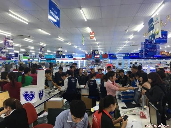 Mỗi năm điện máy Trần Anh mất vài tỷ vì…chuột