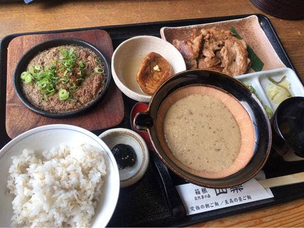 彫刻の森美術館付近の美味しいランチ選 人気店から穴場まで Retty