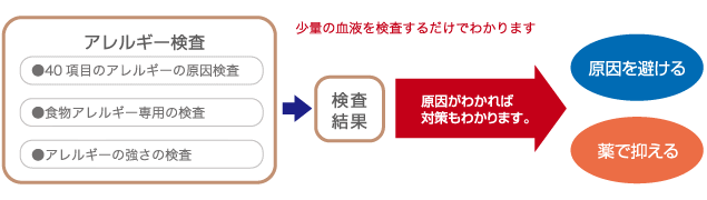 アレルギー検査について ムサシ動物医療センター 熊本県熊本市楠の動物病院