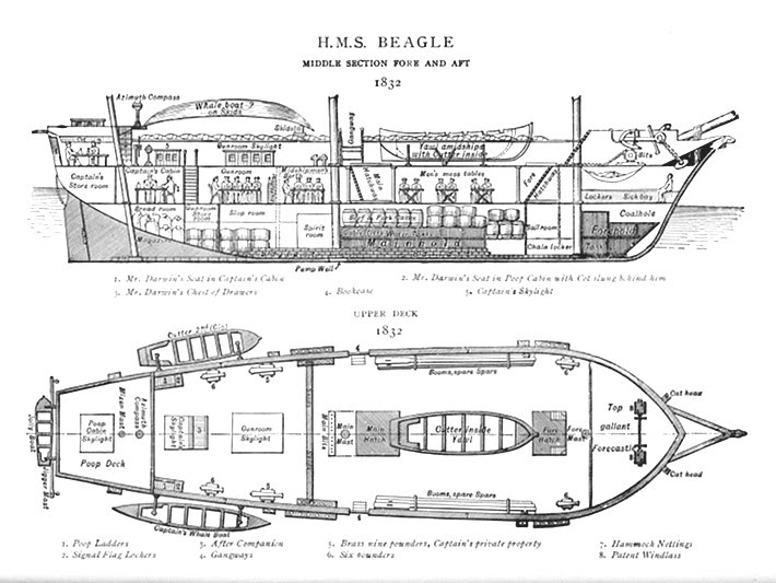 Plan of the Beagle (Charles Darwin's Ship)