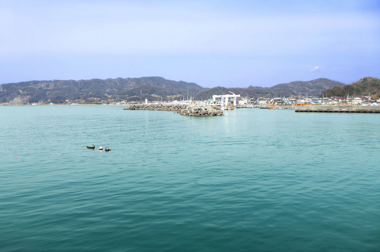 保田港の釣り 房総タウン Com