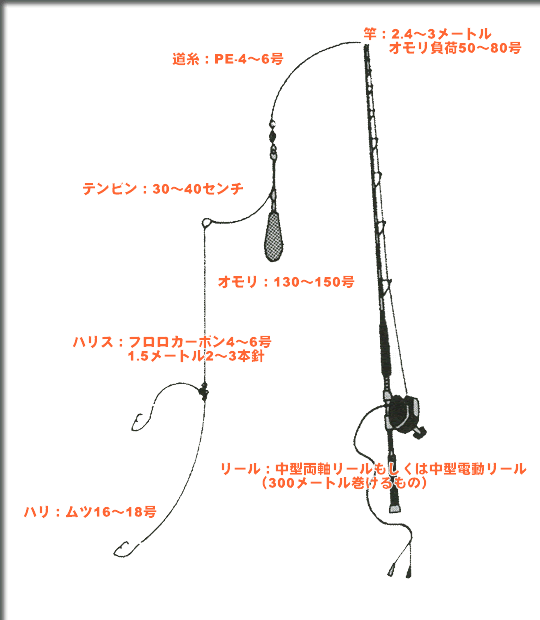 上流の 付与 成人期 オニカサゴ 電動 リール 対 可動式 まともな