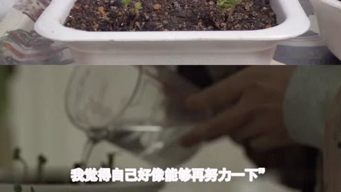 小森林冬春篇 腾讯视频