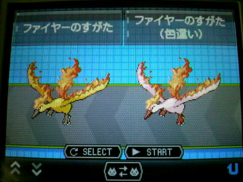 なわぱんだのポケモンブログ ポケモン 色違い 固定リセット