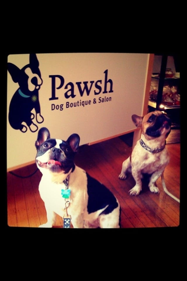 Pawsh Dog Boutique & Salon - 18 Photos - Pet Stores - Back Bay - Boston, MA - Reviews - Yelp