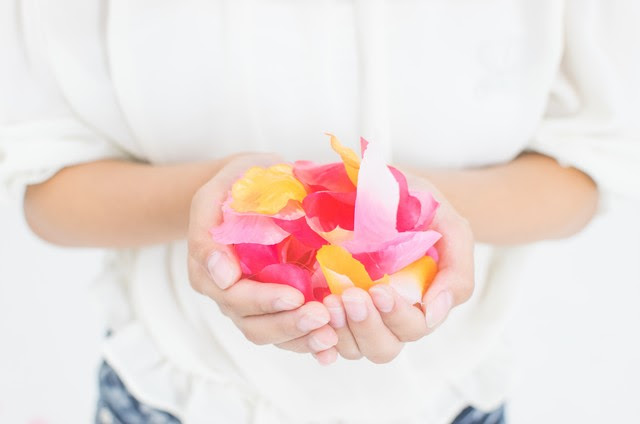 花言葉で感謝や尊敬を 親や先生に ありがとう の意味の花を春夏秋冬別に紹介