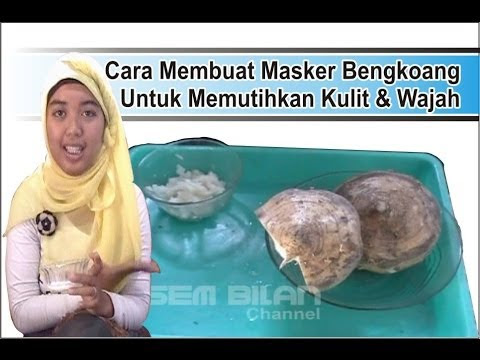 Cara Membuat Masker Bengkoang Untuk Memutihkan Kulit Cara Membuat Masker Bengkoang Untuk Memutihkan Kulit