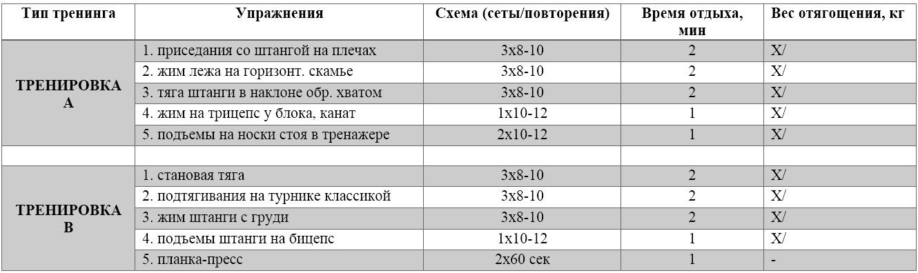 Basic training program for beginners, an example