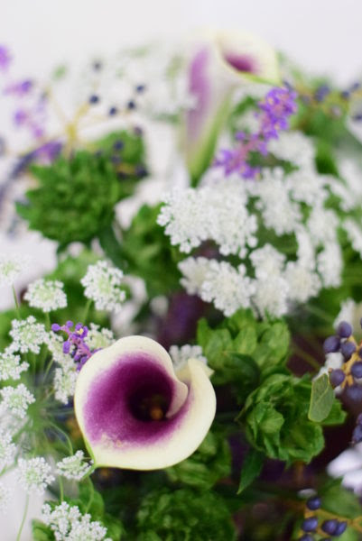 白く大きなカラーの花の花言葉 花を長持ちさせるコツをご紹介