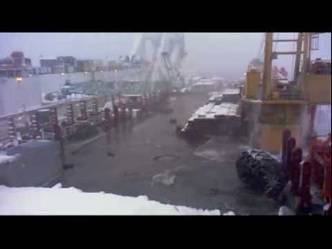 Fortuna 2011