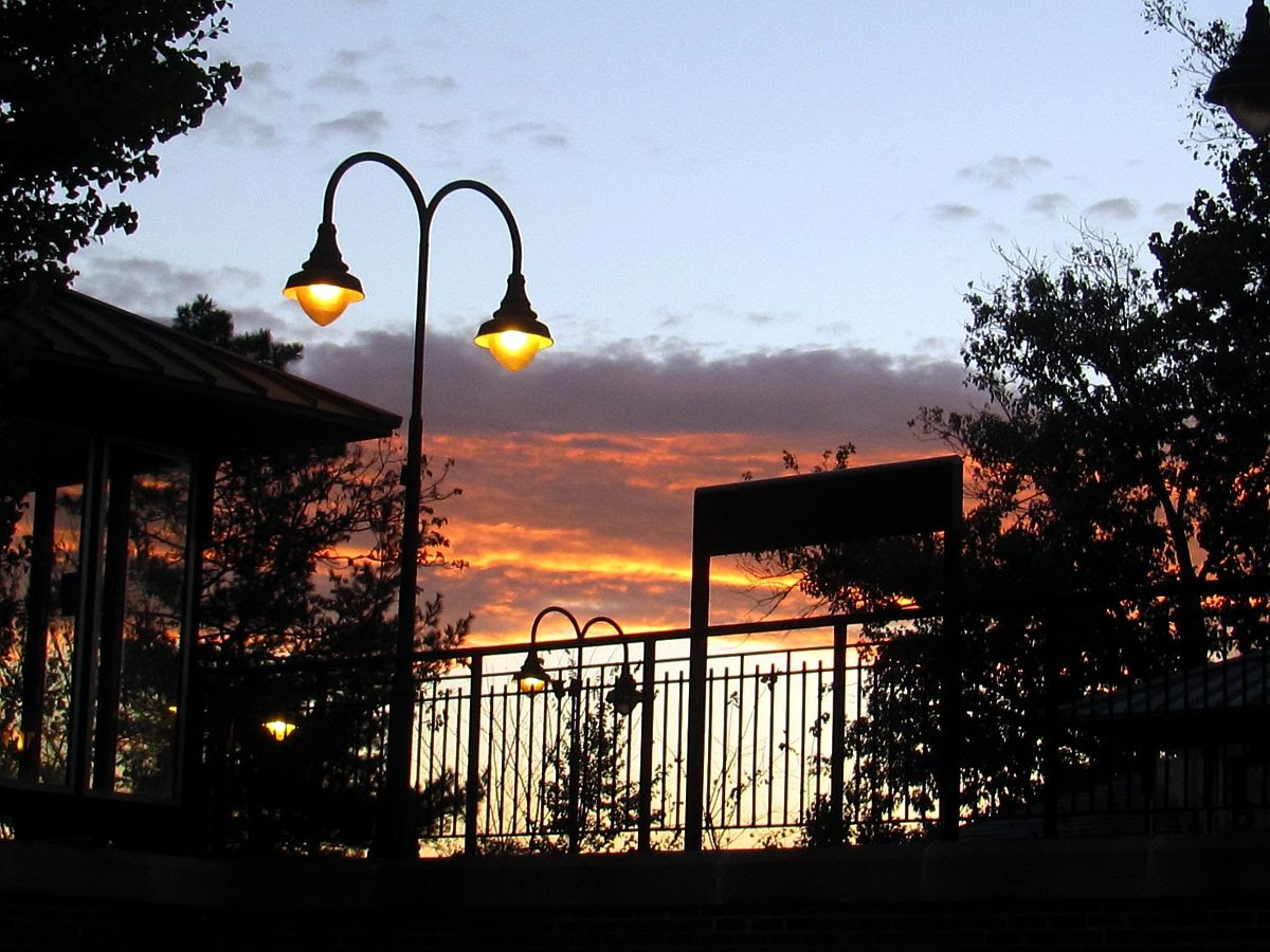  photo IMG_6865a_zpsab7a78e3.jpg