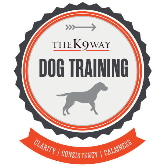 Dog Training Auckland TheK9Way